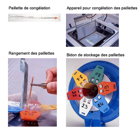 Congélation des embryons Laboratoire Eylau